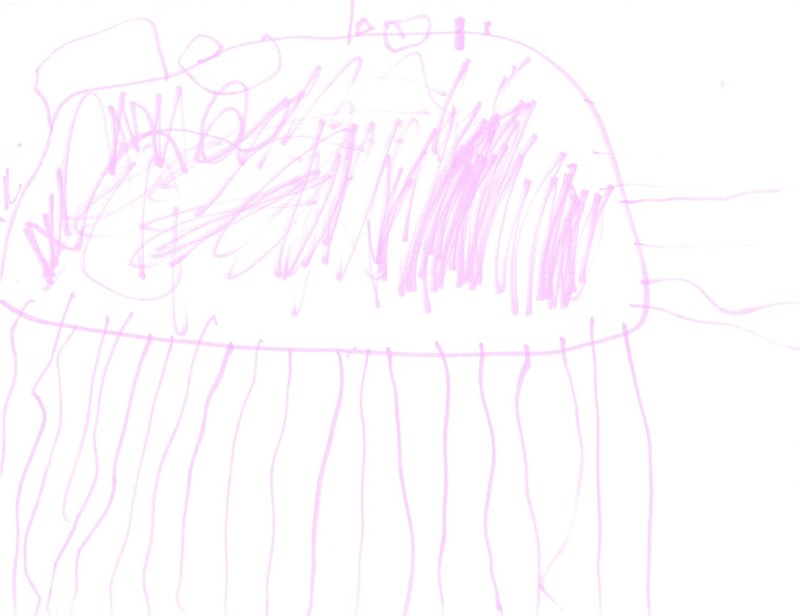 Pink Jellyfish by Gray J.